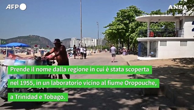 In Brasile i primi due morti di febbre Oropuche al mondo