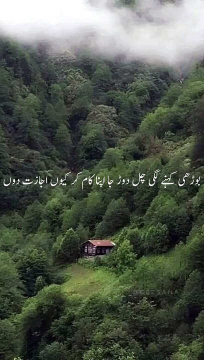 Islamic zone