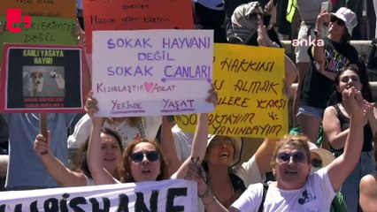 Hayvanseverler Anıtpark'ta eylemde: 'Onların sesi olmak zorundayız'