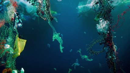 Under Paris (2024) Opening Scene Explained: The Shark Encounter and Dr. Anna’s Daring Escape!