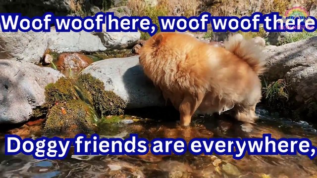Funny Dog, New Viral Pet song, DOG new Song, Dog Fun Video, #babynest80 #chuchutv #dog #chuchutv