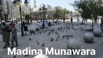 Mosque Ghahamah Madina Munawara Beautiful of view//مسجد غامہ مدینہ منورہ کا خوبصورت منظر