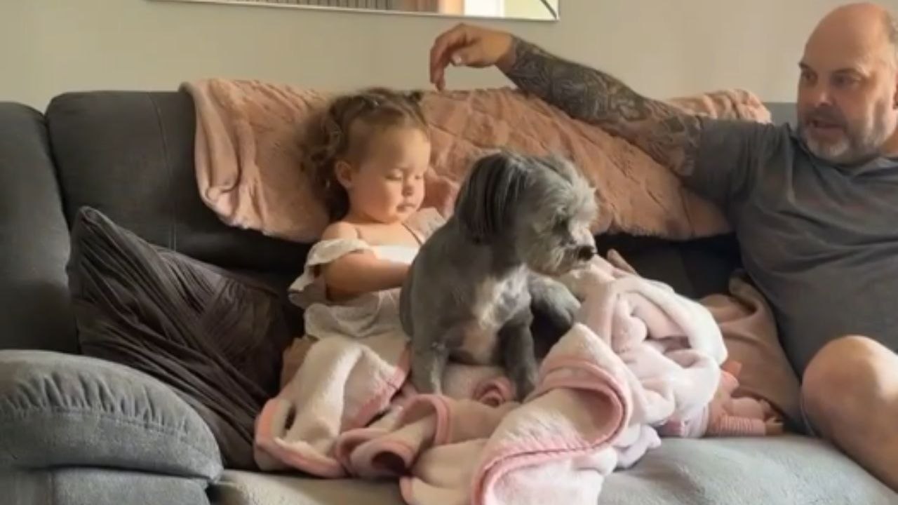 Toddler enchanted by grandparents' cuddly dog during family visit *Heartwarming*