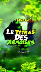 Le Tétras des Armoises.
