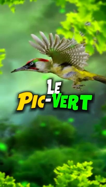 Le pic-vert.
