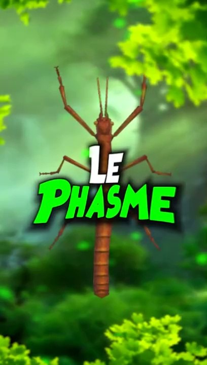 Le Phasme