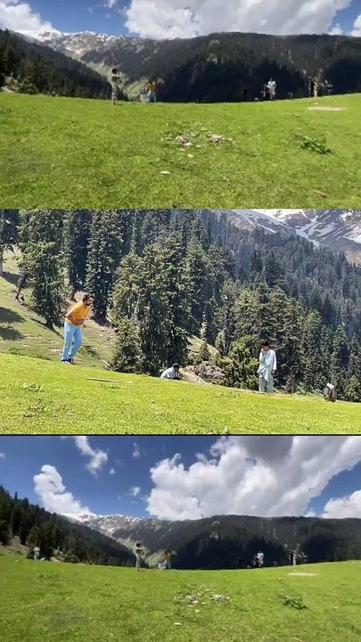 Cricket in mountain