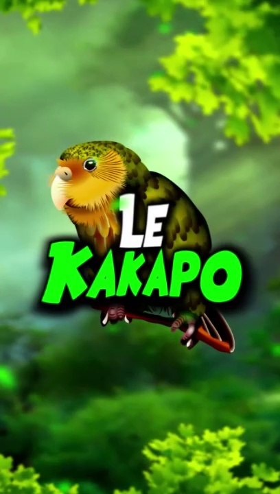 Le Kakapo