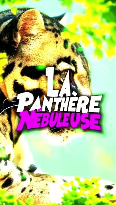 La panthère nébuleuse