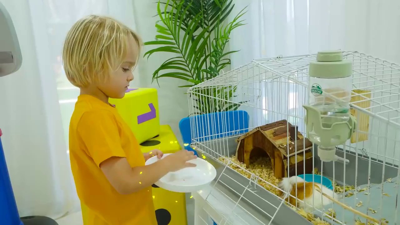 Vlad and Niki Giant Maze Challenge for kids Vlad And Niki | Chris goes through the Giant Maze and rescues his hamster from the lava!