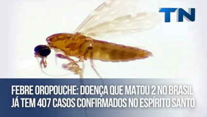 Descargar video: Febre oropouche: doença que matou 2 no Brasil já tem 407 casos confirmados no Espírito Santo