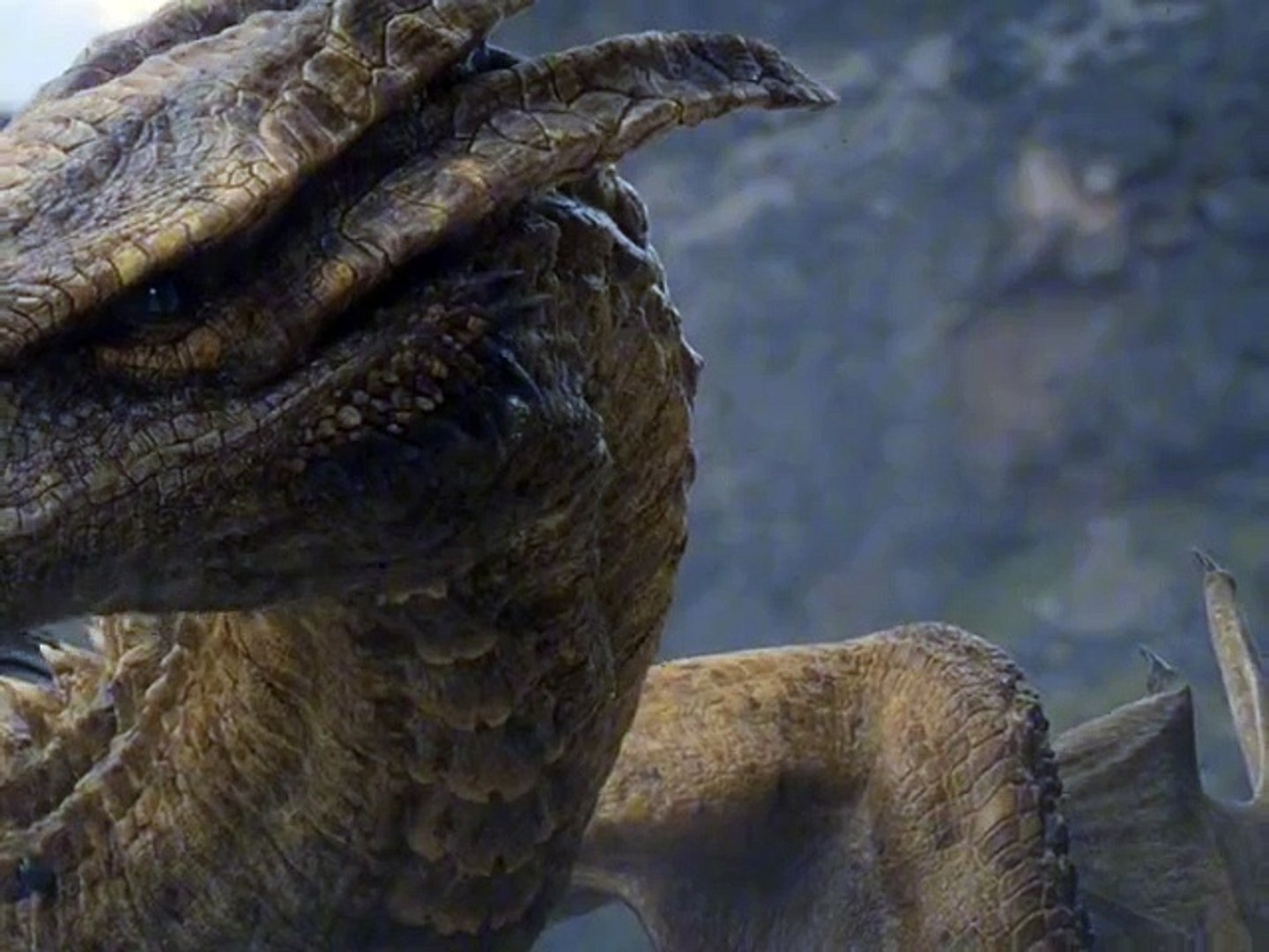 House of dragon seen