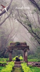 One-day Trips Places Near Bengaluru