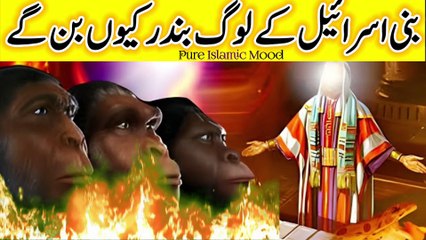 Bani Israel Ki Qaum Bandar Ban Gaye urdu stories | islamic stories