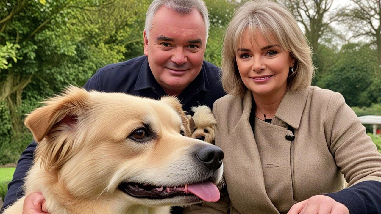 Eamonn Holmes Shares Heartwarming Update on Beloved Dog Maggie’s Health Journey
