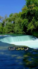 ما تيسر من القران الكريم