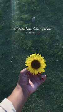 Sad WhatsApp stutas 2024