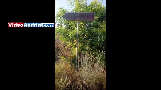 Andria, luglio 2024: queste le condizioni della ciclovia che porta a Castel del Monte