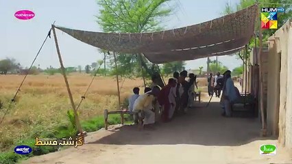 Zard Patton Ka Bunn - Episode 12 [CC] - 28 July 24