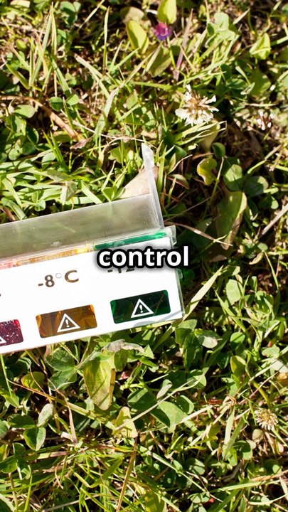 Best Smart home devices for elderly