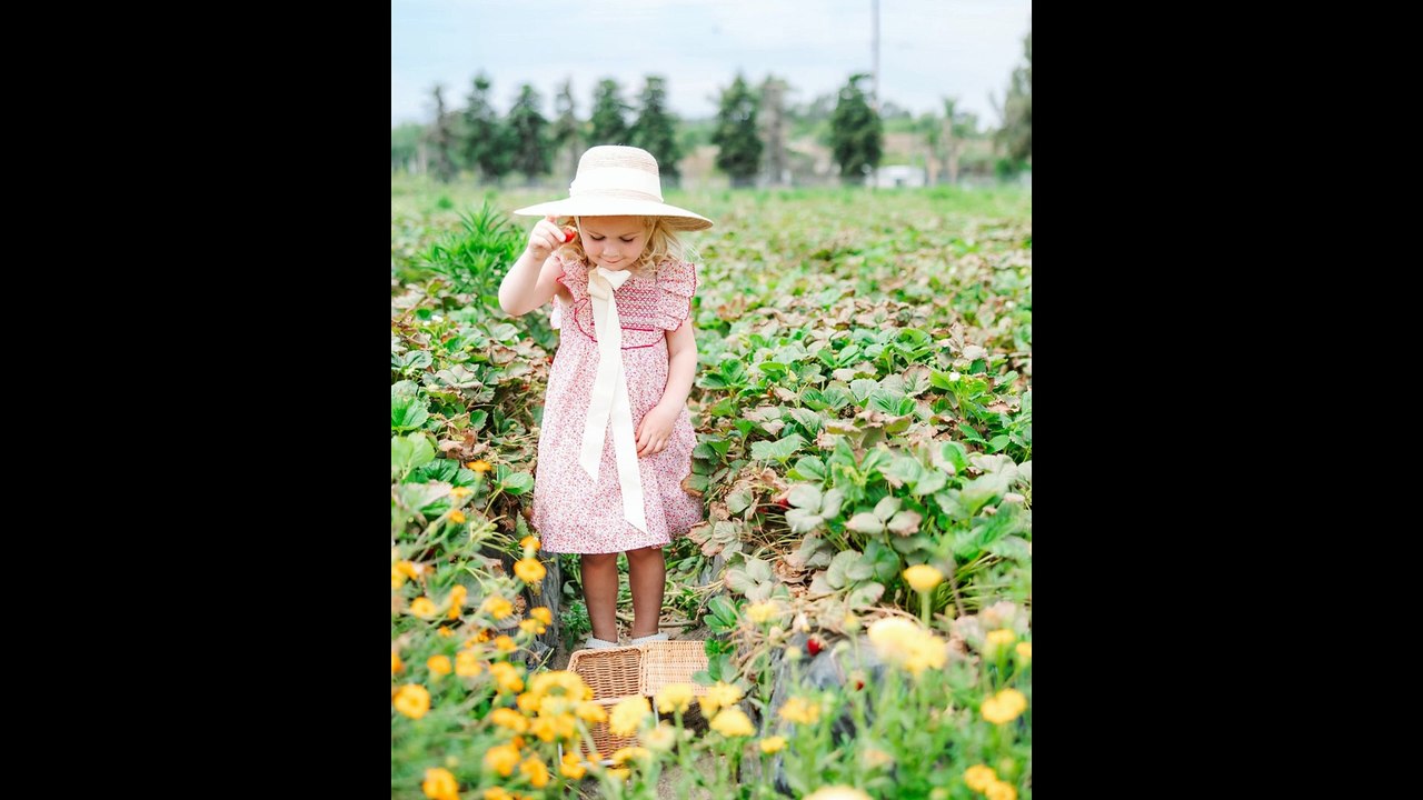 João Paulo Editor Blog de Roupa e Moda Infantil Ep. 3256