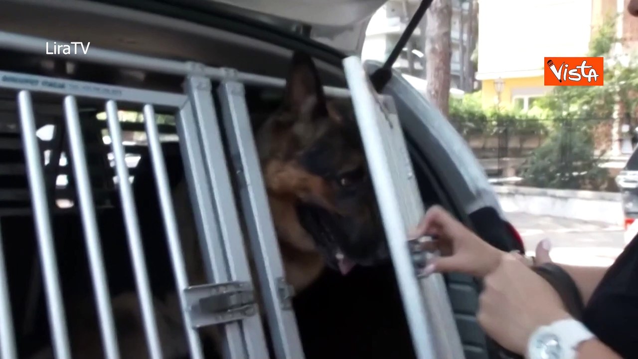 La Polizia lancia lo spot contro l'abbandono degli animali: "Se non ti porto non parto"