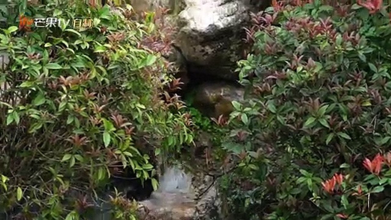 熊猫叙事_第15集