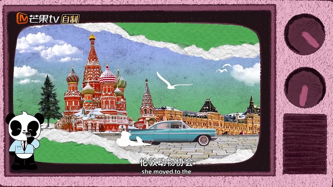 熊猫叙事_第18集