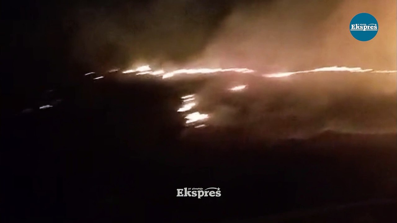 Diyarbakır’ın dünya mirası Hevsel Bahçeleri’nde yangın!
