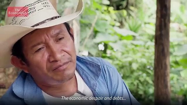 See what three degrees of global warming looks like