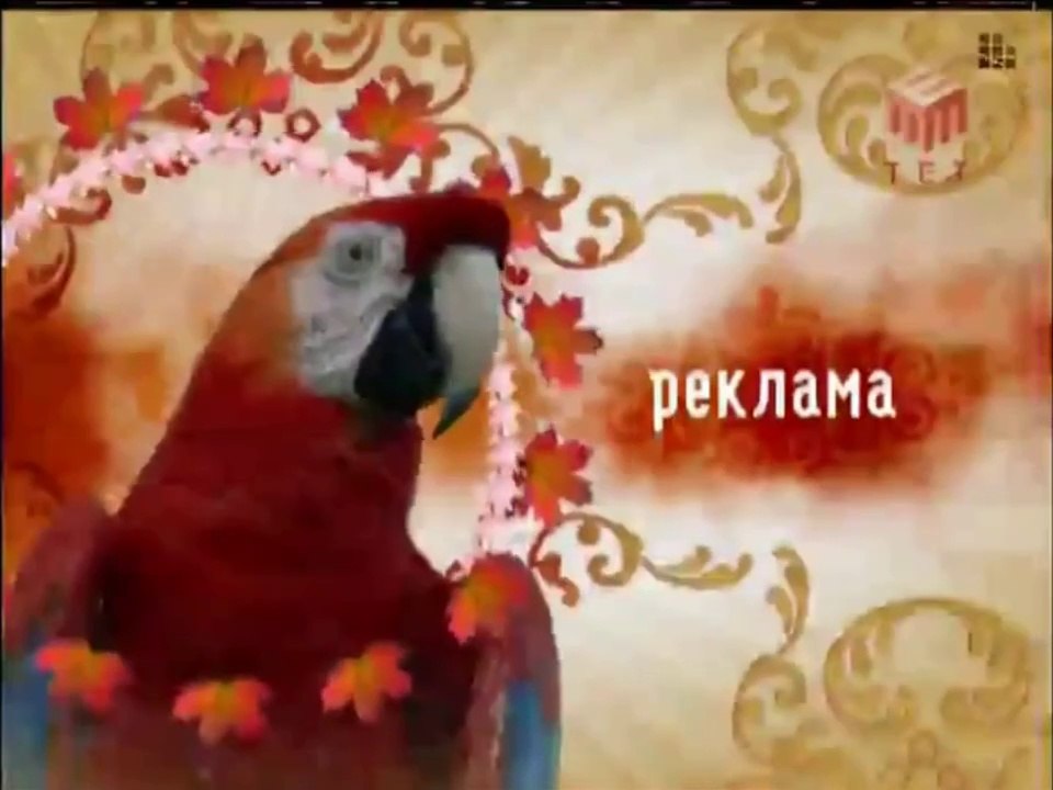 Другий фрагмент реклами під час передачі Велики...