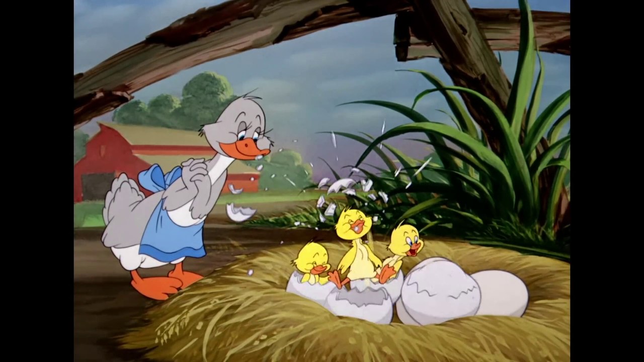 Tom & Jerry em Português _ O Melhor do Patinho _ Compilação de ...