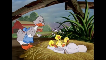 Tom & Jerry em Português _ O Melhor do Patinho _ Compilação de Animações Clássicas _ WB Kids