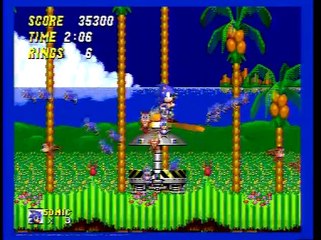 Sonic The Hedgehog 2 Randomness