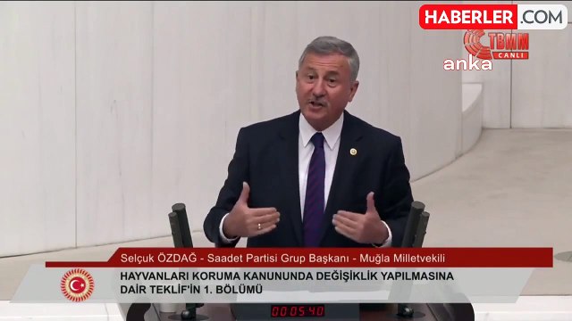 TBMM'de Sokak Hayvanlarına İlişkin Kanun Teklifi Görüşmeleri Başladı