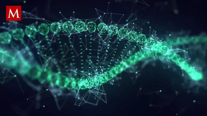 Desvelando los secretos del envejecimiento: La medusa inmortal en el centro de la investigación