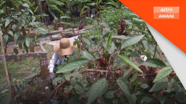 Bancian pertanian: Berjalan lancar, capai 20 peratus - DOSM