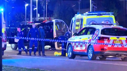 Man shot dead by police in Middleton Grange in Sydney's south-west after alleged knife attack on officer