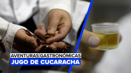 ¿De verdad es saludable el jugo de cucaracha?
