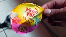 Meow Mix Chunks Gravy Alimento Para Felinos Mi Gato Pernanca Comiendo Su Comida Fina #Animal #Feliz