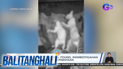 San Juan City Animal Pound, iniimbestigahan dahil sa umano'y kapabayaan | Balitanghali