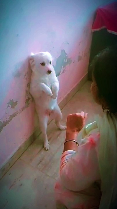 Finny # video