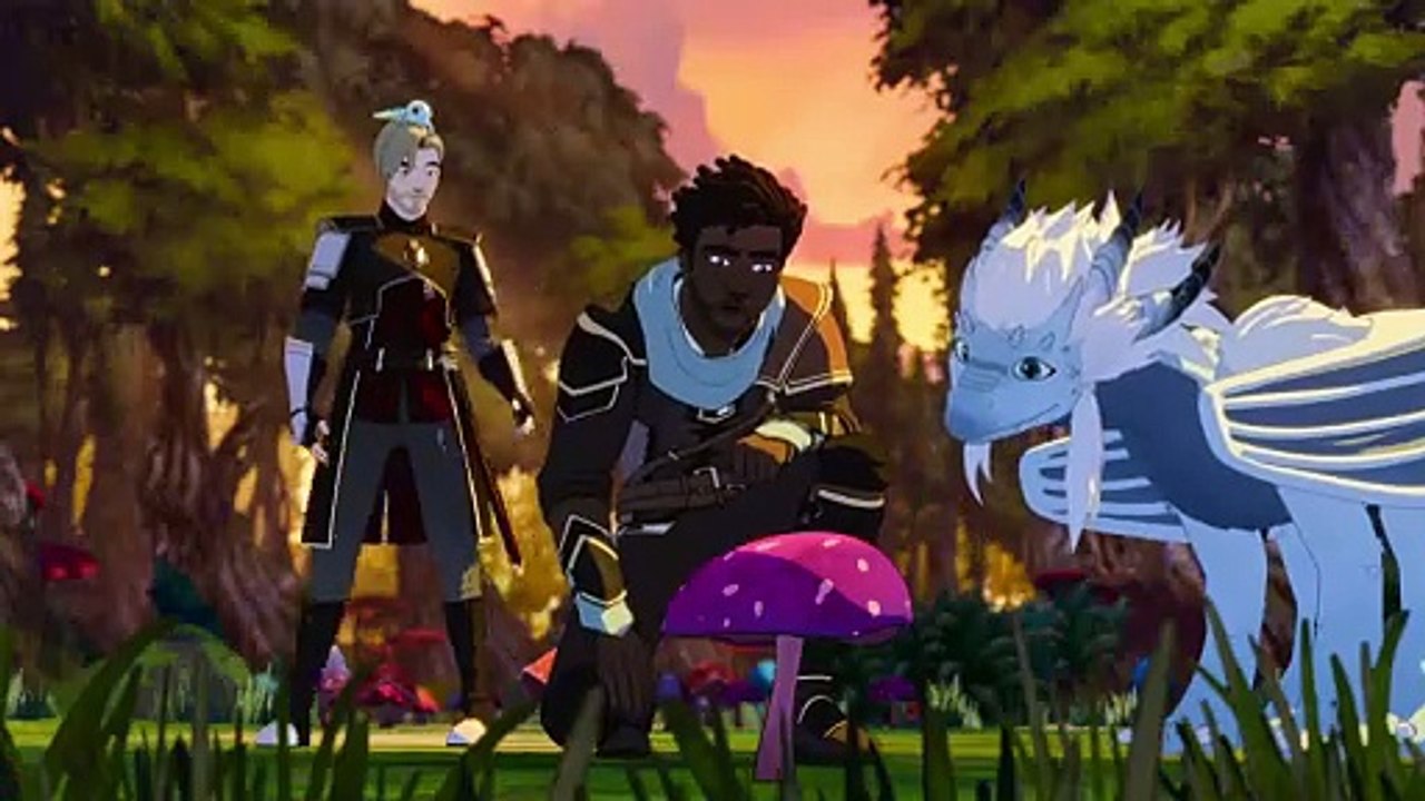 THE DRAGON PRINCE BOOK 6:CHAPTER 2.