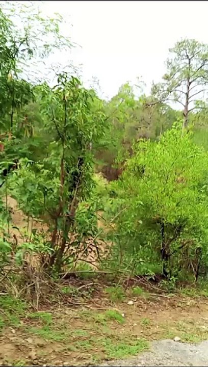 natural beauty of pakistan