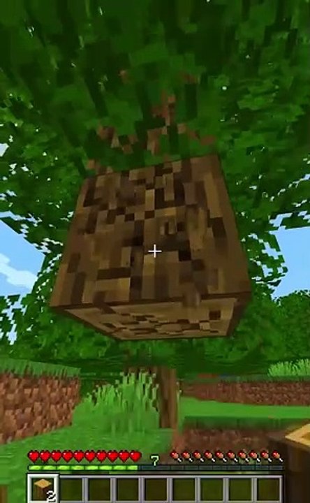 When I say any word in English, the video ends!  - Minecraft