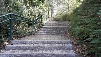 Entdecke den versteckten Aussichtspunkt im Berliner Bürgerpark 🌳