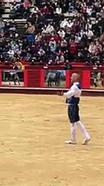 Dengrus bull