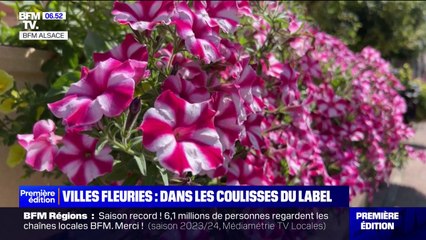 Descargar video: Villes et villages fleuris: dans les coulisses du label