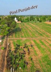Gaon de Zindagi | pind de Zindagi old culture of Punjab India and Pakistan