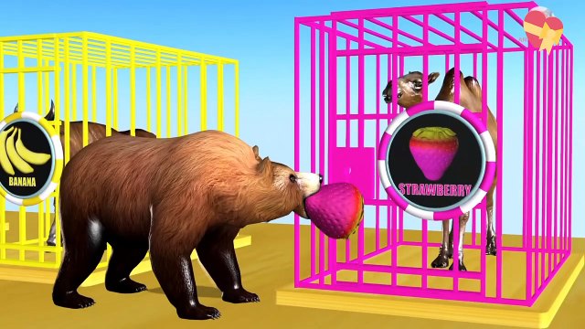 Wrong Fruits Colors Drop on Road for Animals and Cages Cartoon for Children Like and follow our page to watch more funny and interesting video. Thank you!